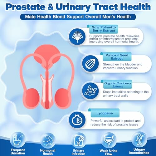 Infographic on male prostate and urinary health supplements.